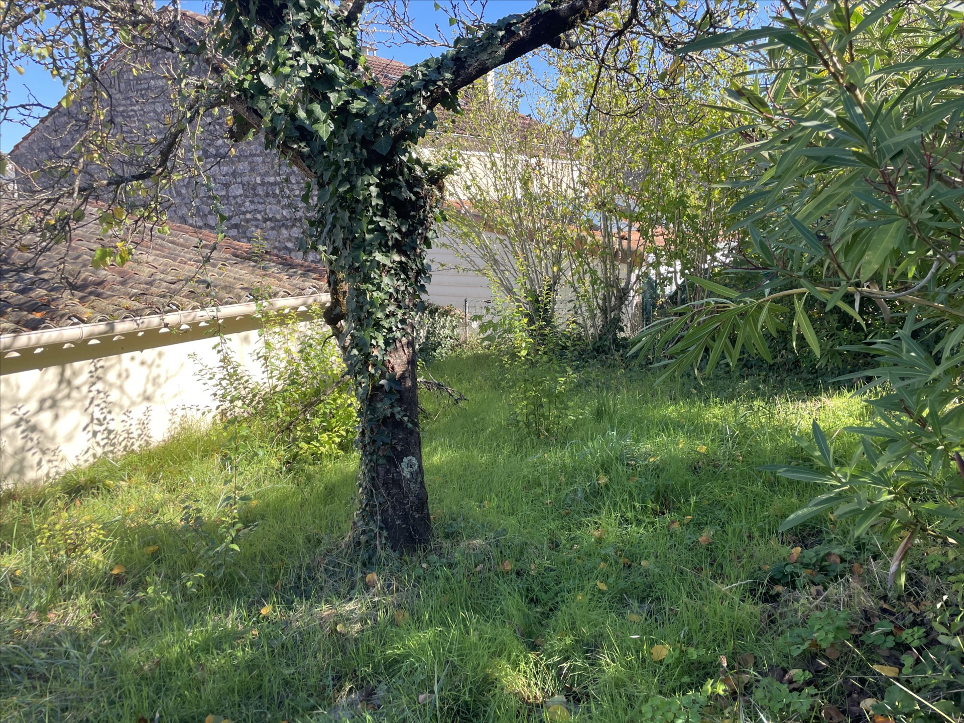 bien immobilier