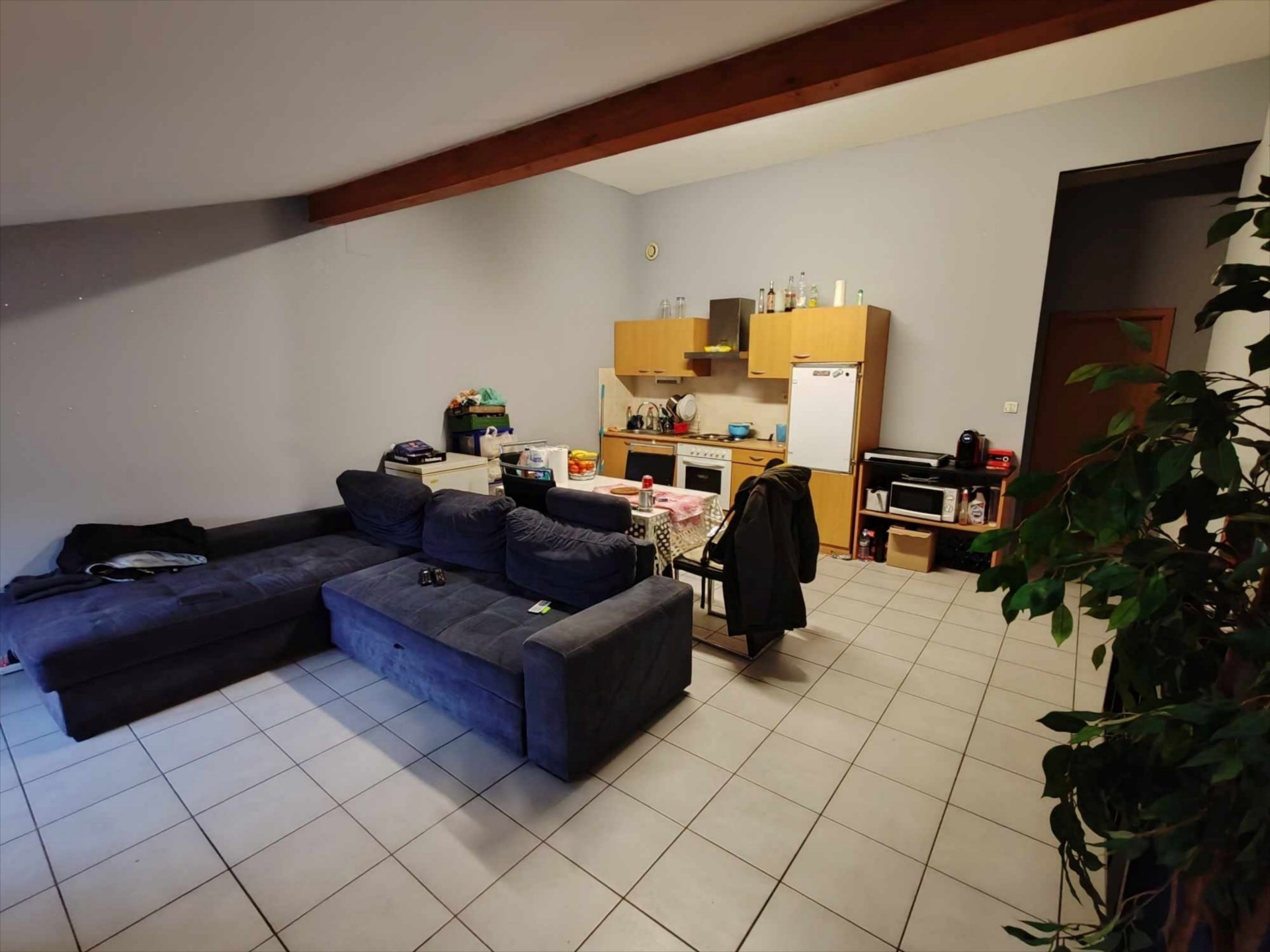 Photo annonce 8