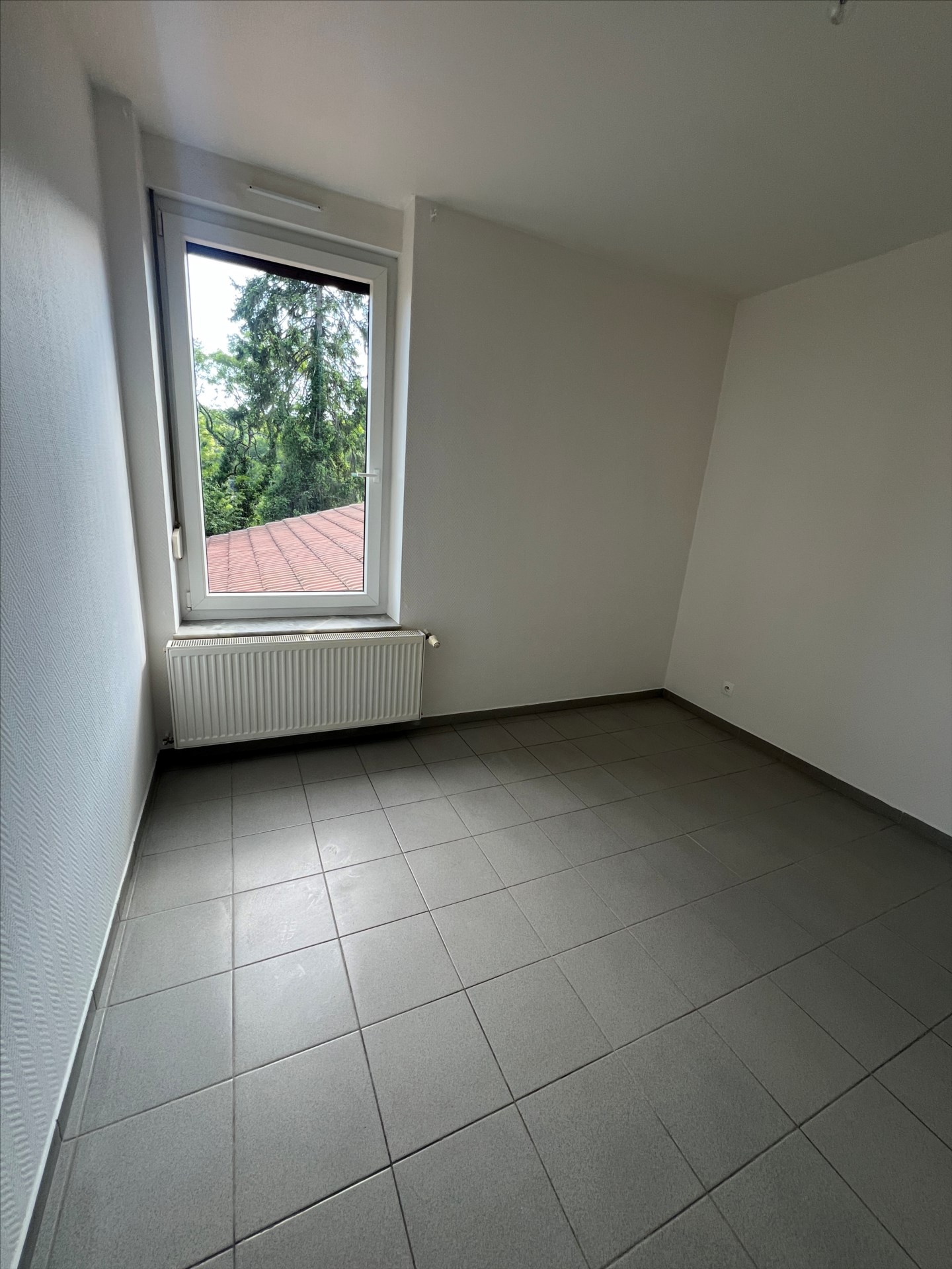 Photo annonce 3