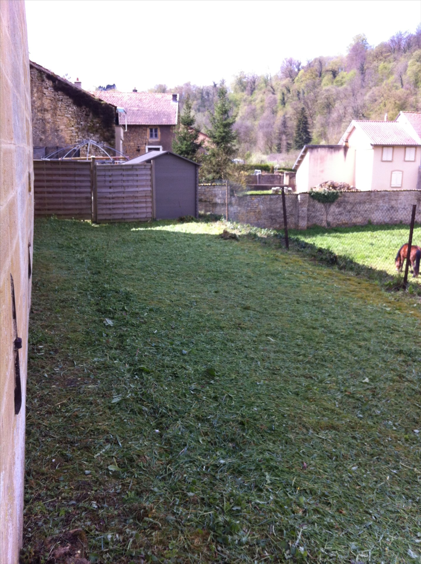 Photo annonce 12