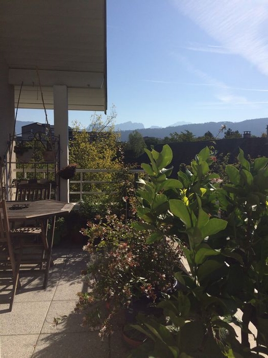 T3/4 récent avec garage Seynod